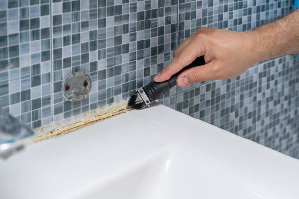 Best Office Mold Removal Services  in Missoula, MT