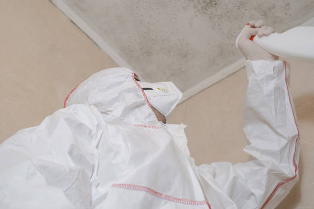 Mold Testing and Removal in Missoula, MT